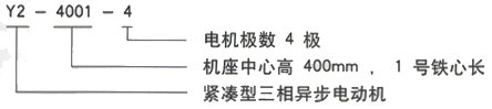 YR系列(H355-1000)高压YRKK4501-4三相异步电机西安西玛电机型号说明